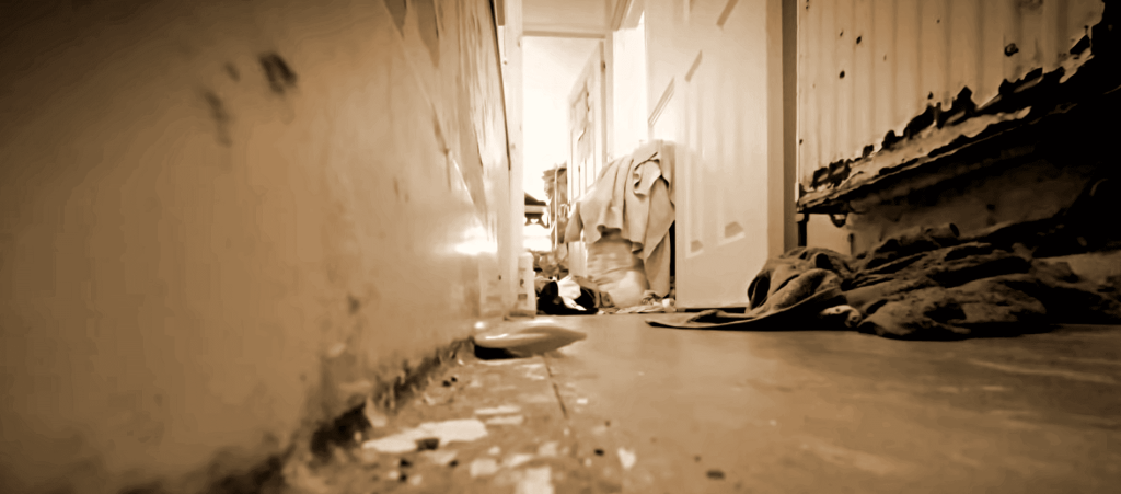 Nettoyage de logement insalubre
Désinfection logement à Lille par cleanyou Nettoyage logement insalubre Lille Douai Valenciennes Lens Arras Amiens Béthune Tourcoing Roubaix Calais